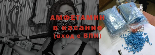 шишки Аркадак