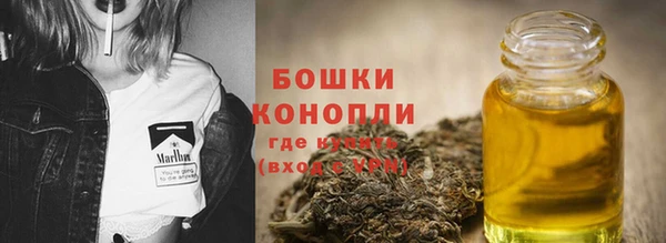 шишки Аркадак