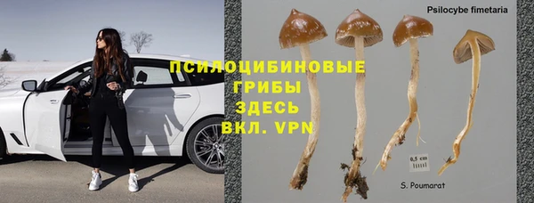 шишки Аркадак