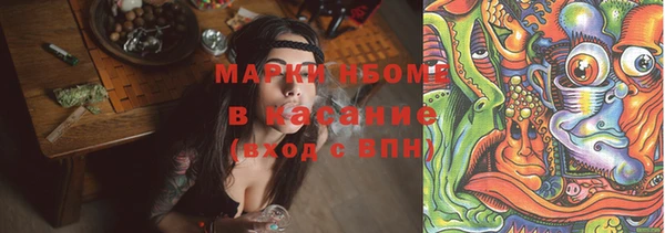 шишки Аркадак