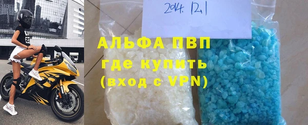 шишки Аркадак