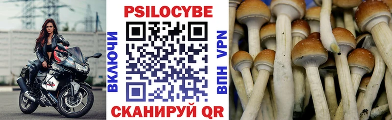 Псилоцибиновые грибы ЛСД  Покачи 